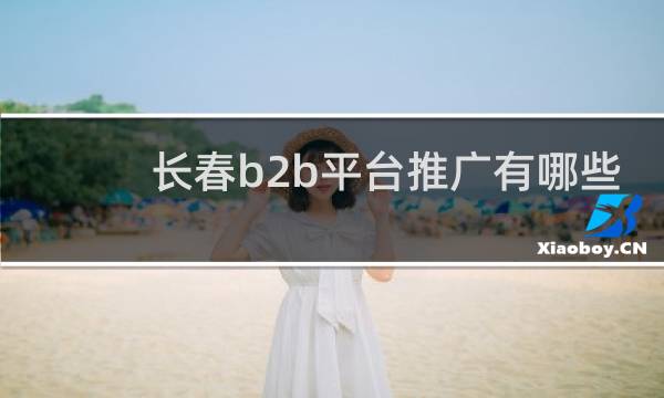 长春b2b平台推广有哪些