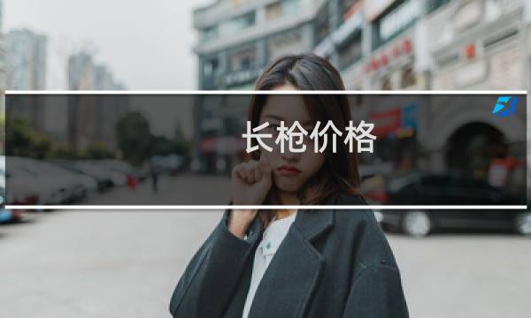长枪价格