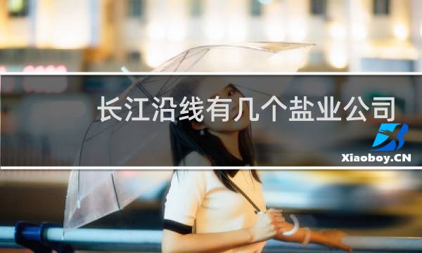 长江沿线有几个盐业公司