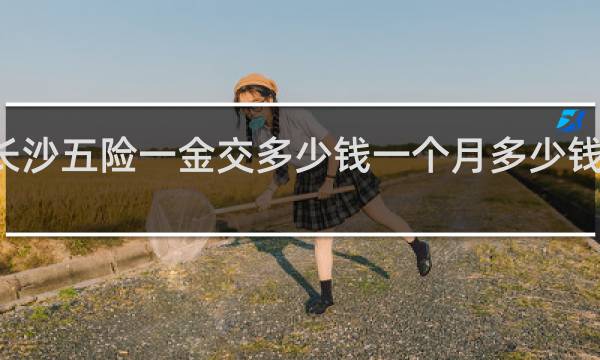 长沙五险一金交多少钱一个月多少钱一个月