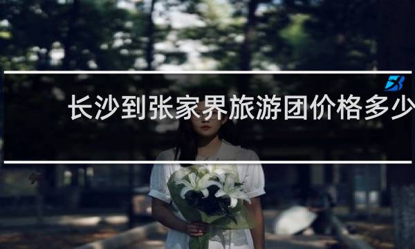 长沙到张家界旅游团价格多少