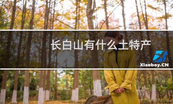 长白山有什么土特产