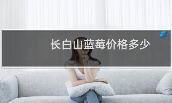 长白山蓝莓价格多少