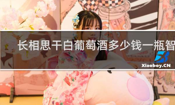 长相思干白葡萄酒多少钱一瓶智利