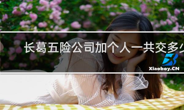 长葛五险公司加个人一共交多少