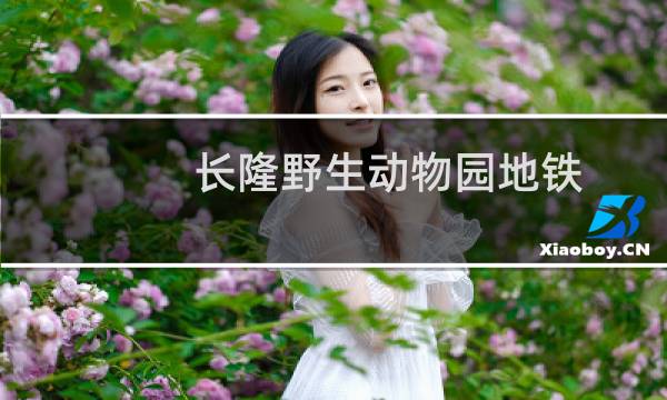 长隆野生动物园地铁