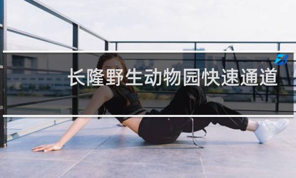 长隆野生动物园快速通道