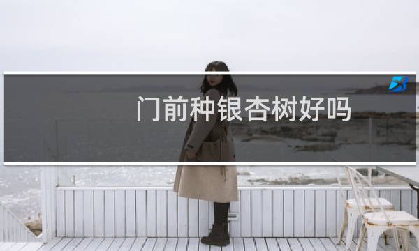 门前种银杏树好吗