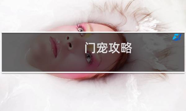 门宠攻略