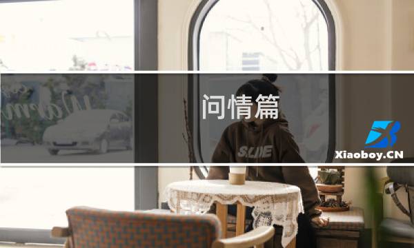 问情篇 详细 攻略