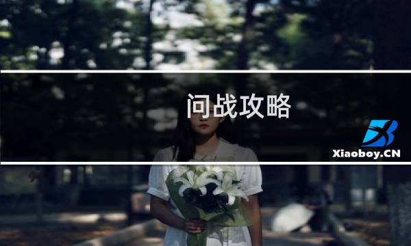 问战攻略