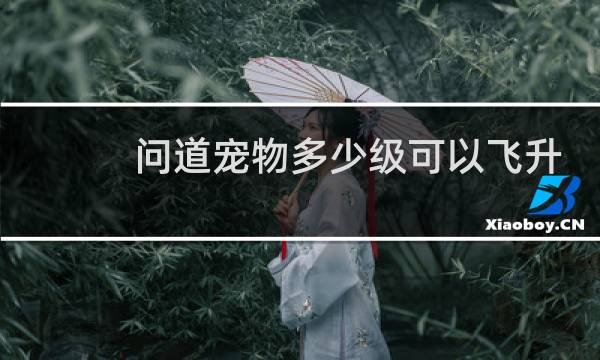 问道宠物多少级可以飞升