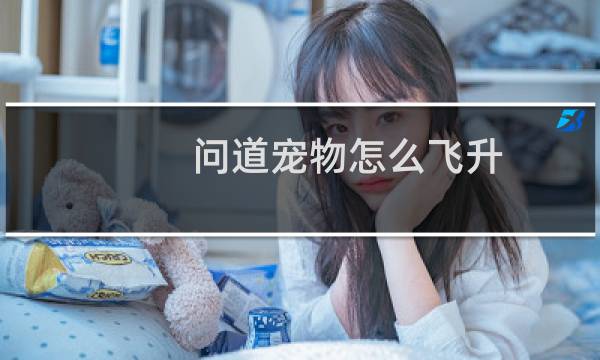 问道宠物怎么飞升