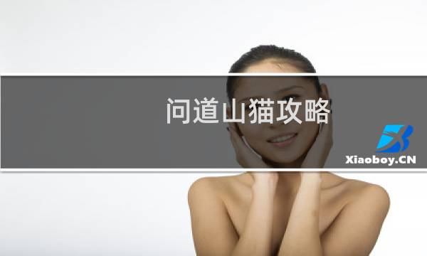 问道山猫攻略