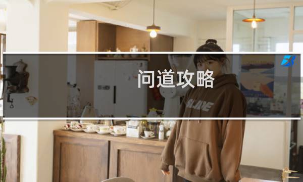 问道攻略 2006