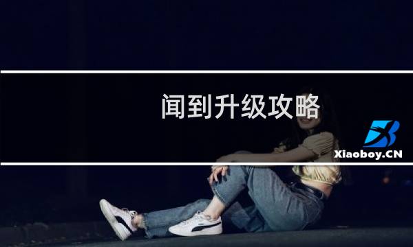 闻到升级攻略