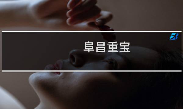阜昌重宝 价格 图片