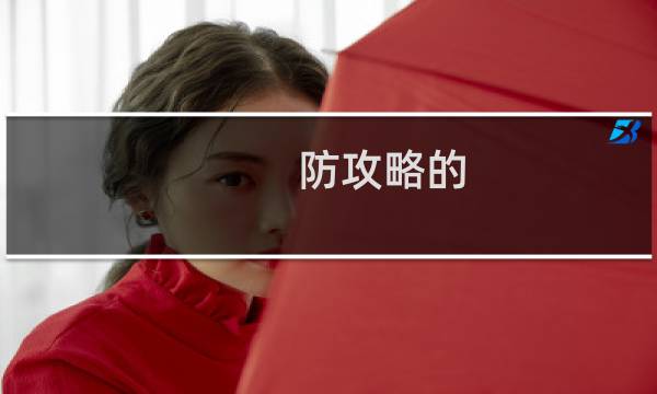 防攻略的
