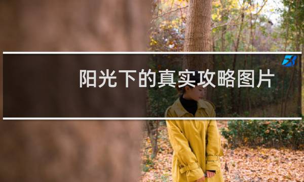 阳光下的真实攻略图片