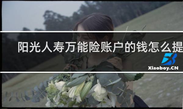 阳光人寿万能险账户的钱怎么提取