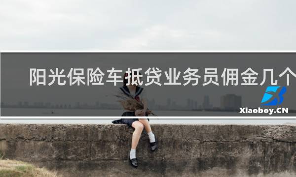 阳光保险车抵贷业务员佣金几个点