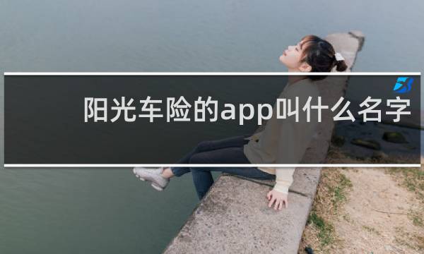 阳光车险的app叫什么名字