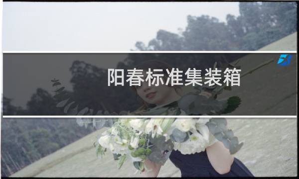 阳春标准集装箱