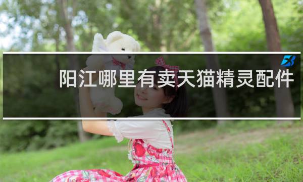 阳江哪里有卖天猫精灵配件
