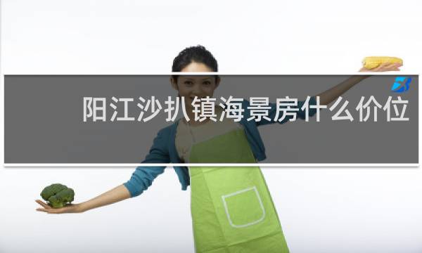 阳江沙扒镇海景房什么价位