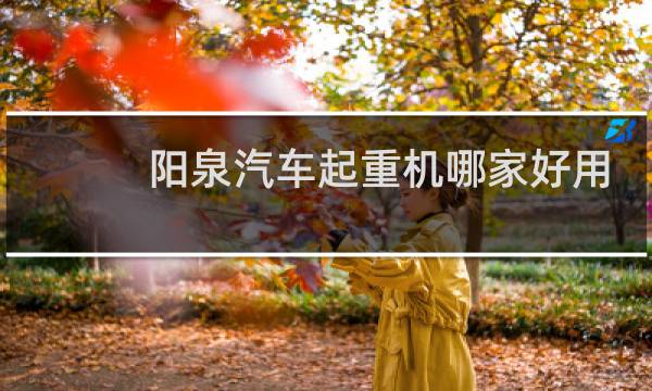 阳泉汽车起重机哪家好用