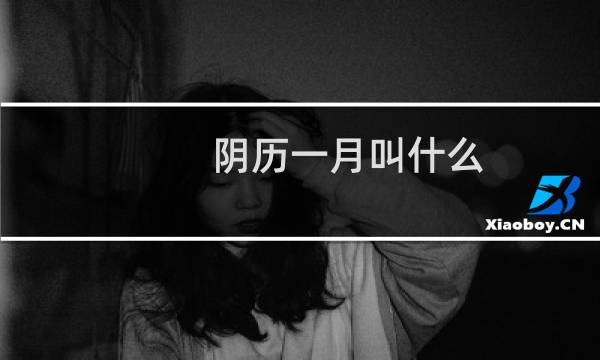 阴历一月叫什么