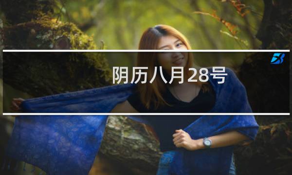 阴历八月28号