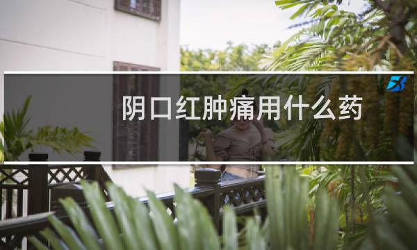 阴口红肿痛用什么药