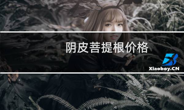 阴皮菩提根价格