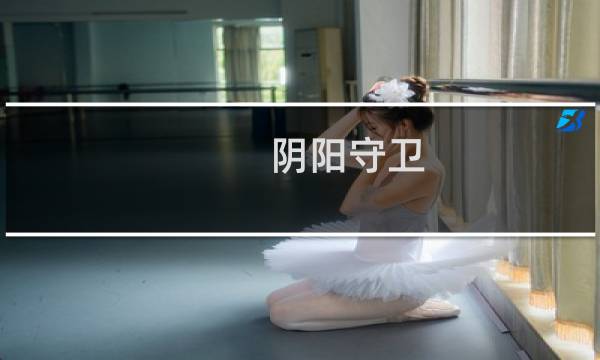 阴阳守卫 攻略