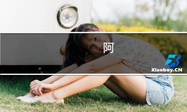 阿 战记攻略