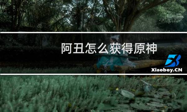 阿丑怎么获得原神