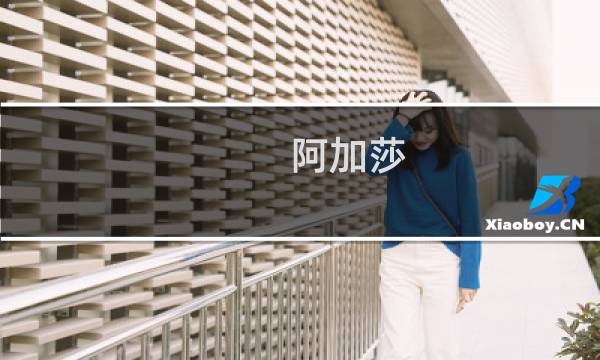 阿加莎 攻略