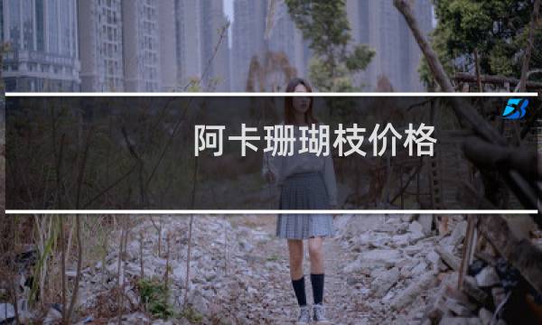 阿卡珊瑚枝价格