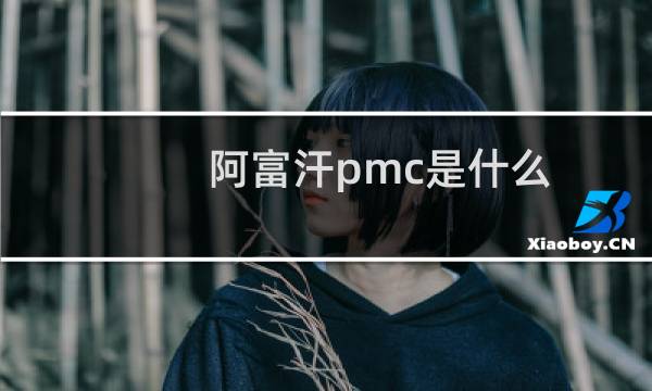 阿富汗pmc是什么