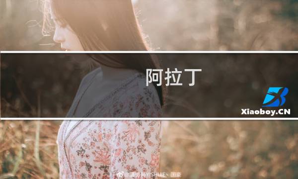阿拉丁 攻略