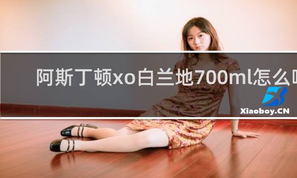 阿斯丁顿xo白兰地700ml怎么喝