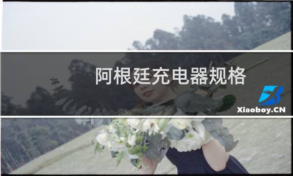 阿根廷充电器规格