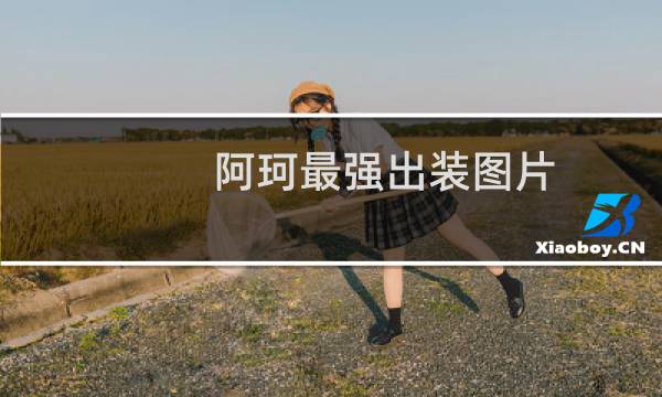 阿珂最强出装图片