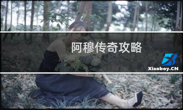 阿穆传奇攻略