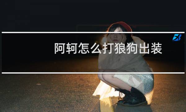 阿轲怎么打狼狗出装