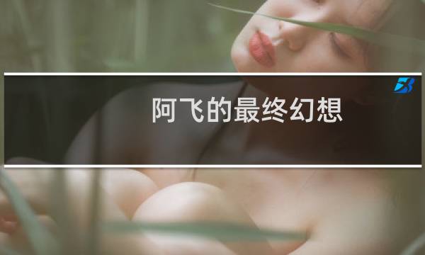 阿飞的最终幻想