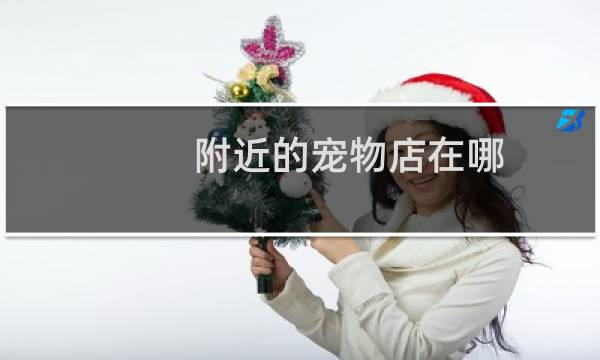 附近的宠物店在哪