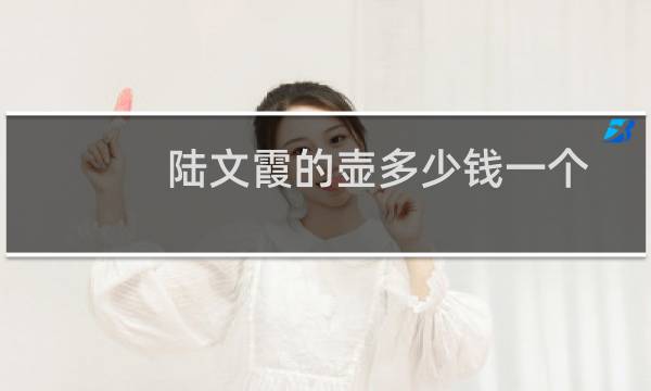 陆文霞的壶多少钱一个