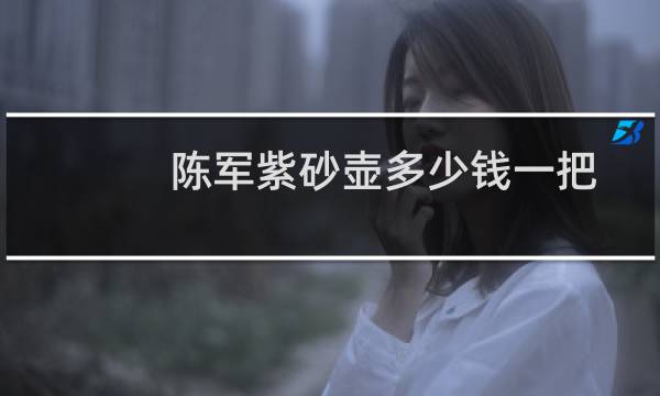 陈军紫砂壶多少钱一把